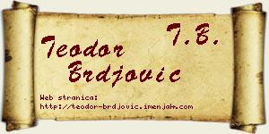 Teodor Brđović vizit kartica